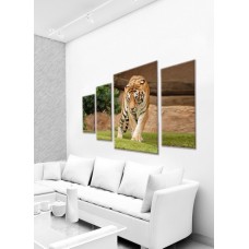 Картина на холсте по фото Модульные картины Печать портретов на холсте Крадущийся тигр