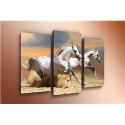 Модульная картина на холсте - m-000324 - Модульная картины, Репродукции, Декоративные панно, Декор стен