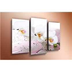 Модульная картина на холсте - m-000584 - Модульная картины, Репродукции, Декоративные панно, Декор стен