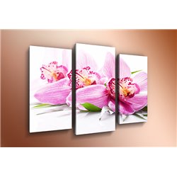 Модульная картина на холсте - m-000527 - Модульная картины, Репродукции, Декоративные панно, Декор стен