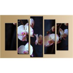 Модульная картина на холсте - 5m-560 - Модульная картины, Репродукции, Декоративные панно, Декор стен