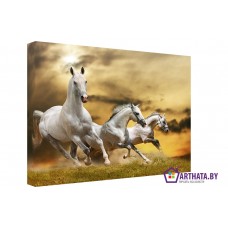 Картина на холсте по фото Модульные картины Печать портретов на холсте Три коня