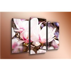 Модульная картина на холсте - m-000516 - Модульная картины, Репродукции, Декоративные панно, Декор стен