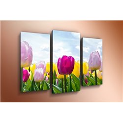 Модульная картина на холсте - m-000566 - Модульная картины, Репродукции, Декоративные панно, Декор стен