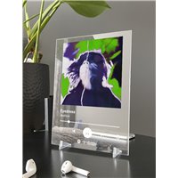 Портреты картины репродукции на заказ - Eyedress - Jealous - постер Spotify