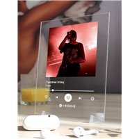 Портреты картины репродукции на заказ - Face - Тысячи птиц - постер Spotify