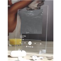 Портреты картины репродукции на заказ - Pharaon - Love Kills - постер Spotify