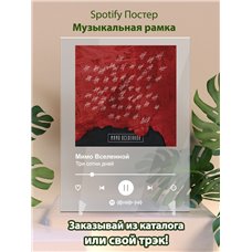 Картина на холсте по фото Модульные картины Печать портретов на холсте Мимо Вселенной - Три сотни дней - постер Spotify