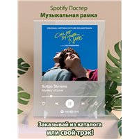 Портреты картины репродукции на заказ - Sufjan Stevens - Mystery of Love - постер Spotify