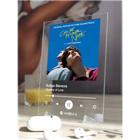 Портреты картины репродукции на заказ - Sufjan Stevens - Mystery of Love - постер Spotify