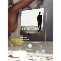Портреты картины репродукции на заказ - Иван Дорн - Северное сияние - постер Spotify