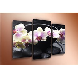 Модульная картина на холсте - m-000503 - Модульная картины, Репродукции, Декоративные панно, Декор стен