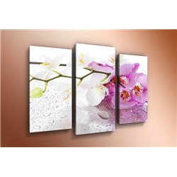 Модульная картина на холсте - m-000242 - Модульная картины, Репродукции, Декоративные панно, Декор стен