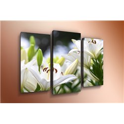 Модульная картина на холсте - m-000483 - Модульная картины, Репродукции, Декоративные панно, Декор стен