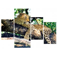 Картина на холсте по фото Модульные картины Печать портретов на холсте Леопард на ветвях