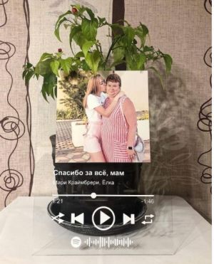 Acryl Spotify Стеклянная панель с фотографией и песней